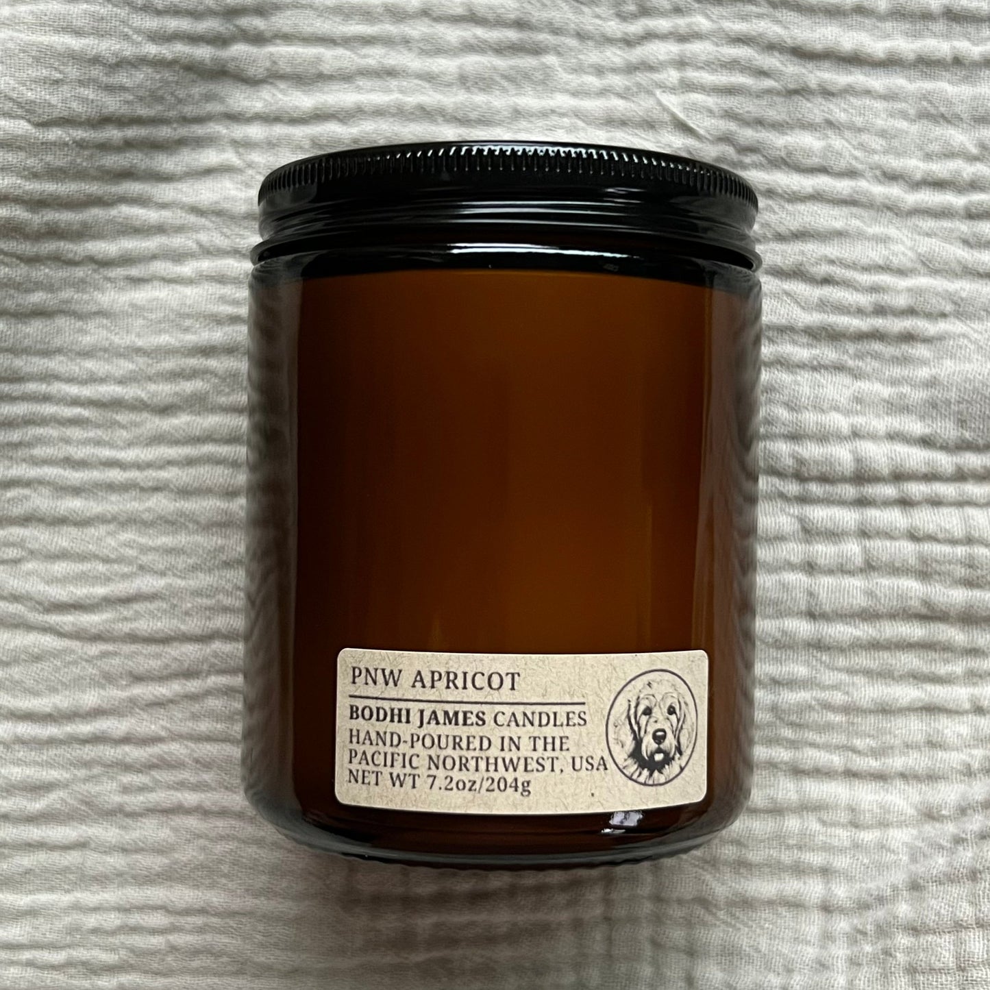 PNW Apricot
